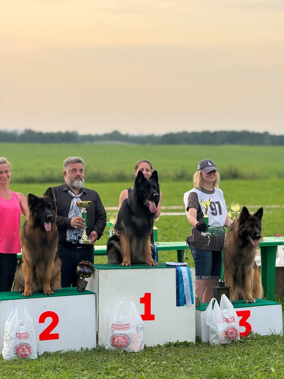 12.07.2025 г. Санкт-Петербург 
Монопородная выставка НО "Мелодии белых ночей"
судья Gabriel Stibel (Македония)