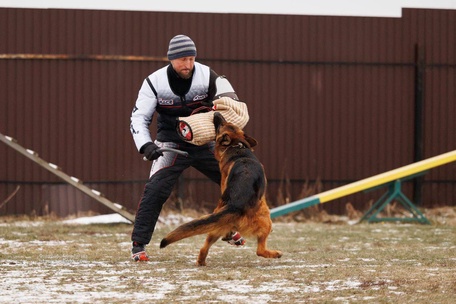 Ирендорф Жофрей