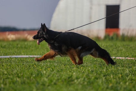 Ирендорф Фрэд