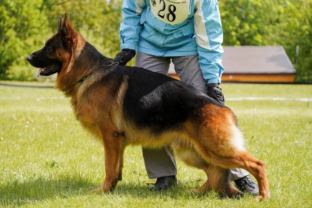 Ирендорф  Зурбаган 