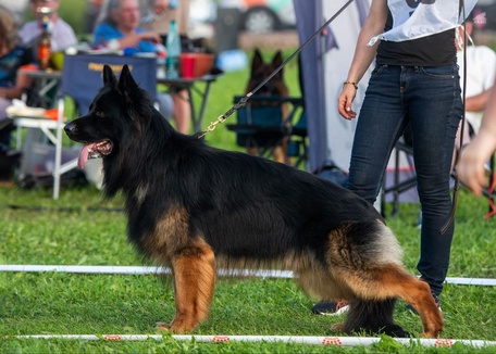 Ирендорф Фрэд