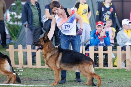 Зависть Богов Флагман