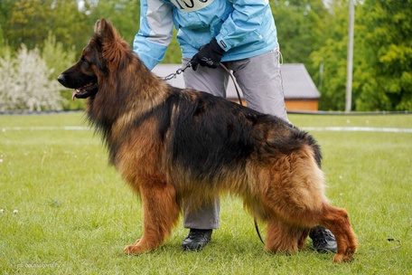 Ирендорф Урмас 🔥Зонарный