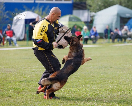 Ирендорф Замбия 