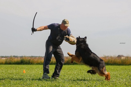 Ирендорф Фрэд