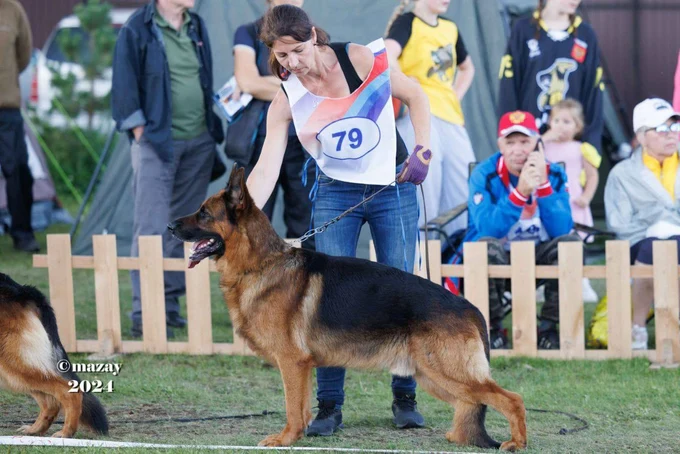 Зависть Богов Флагман