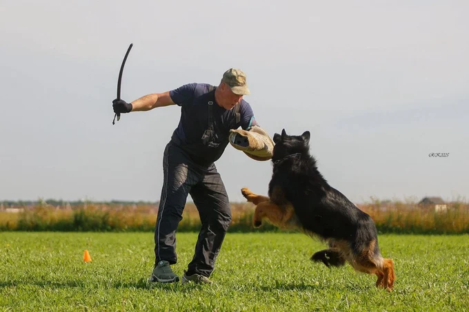 Ирендорф Фрэд