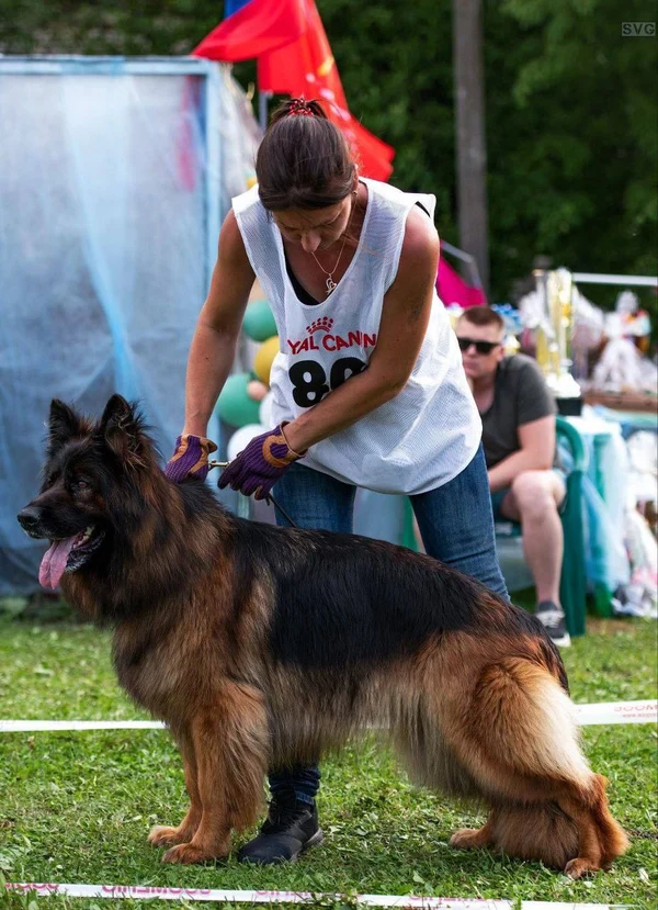 Ирендорф Вуду