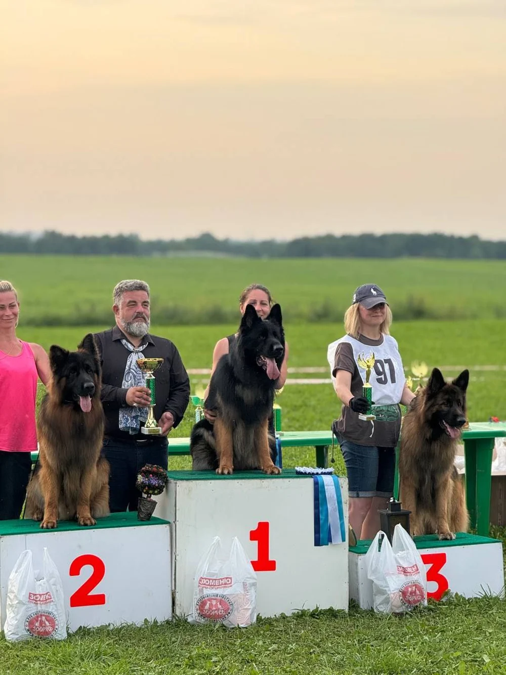 12.07.2025 г. Санкт-Петербург 
Монопородная выставка НО "Мелодии белых ночей"
судья Gabriel Stibel (Македония)