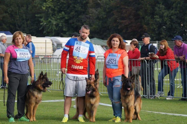 Зависть Богов Рейма