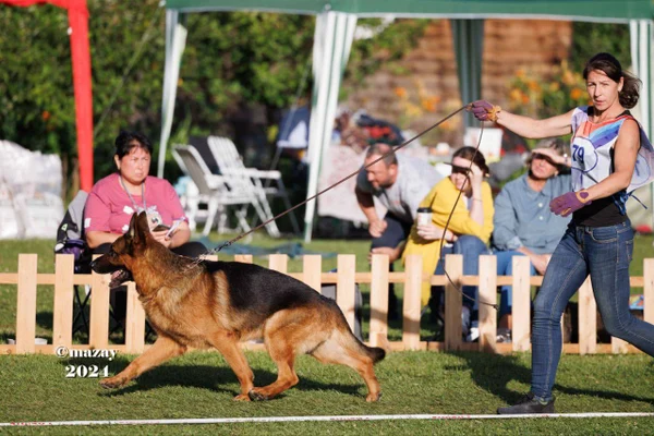 Зависть Богов Флагман