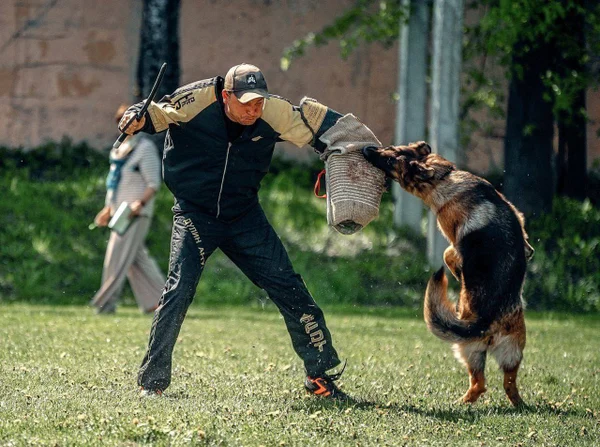 Ирендорф Замбия