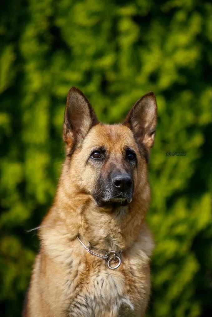 Liisa v. Haus Stoppacher 