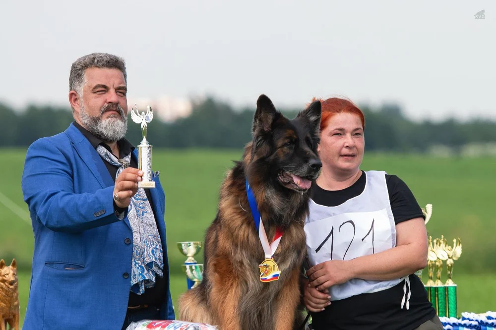 12.07.2025 г. Санкт-Петербург 
Монопородная выставка НО "Мелодии белых ночей"
судья Gabriel Stibel (Македония)