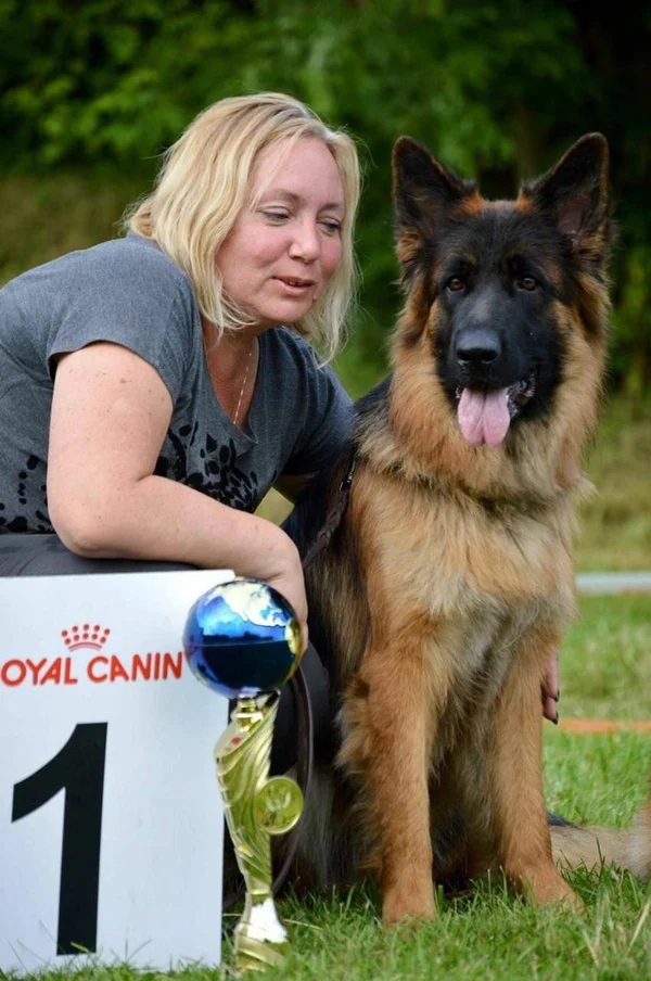 Зависть Богов Рейма