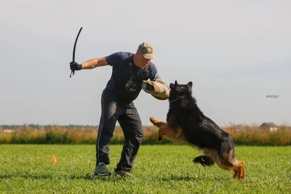 Ирендорф Фрэд