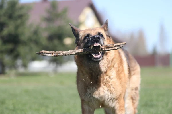 Liisa v. Haus Stoppacher 