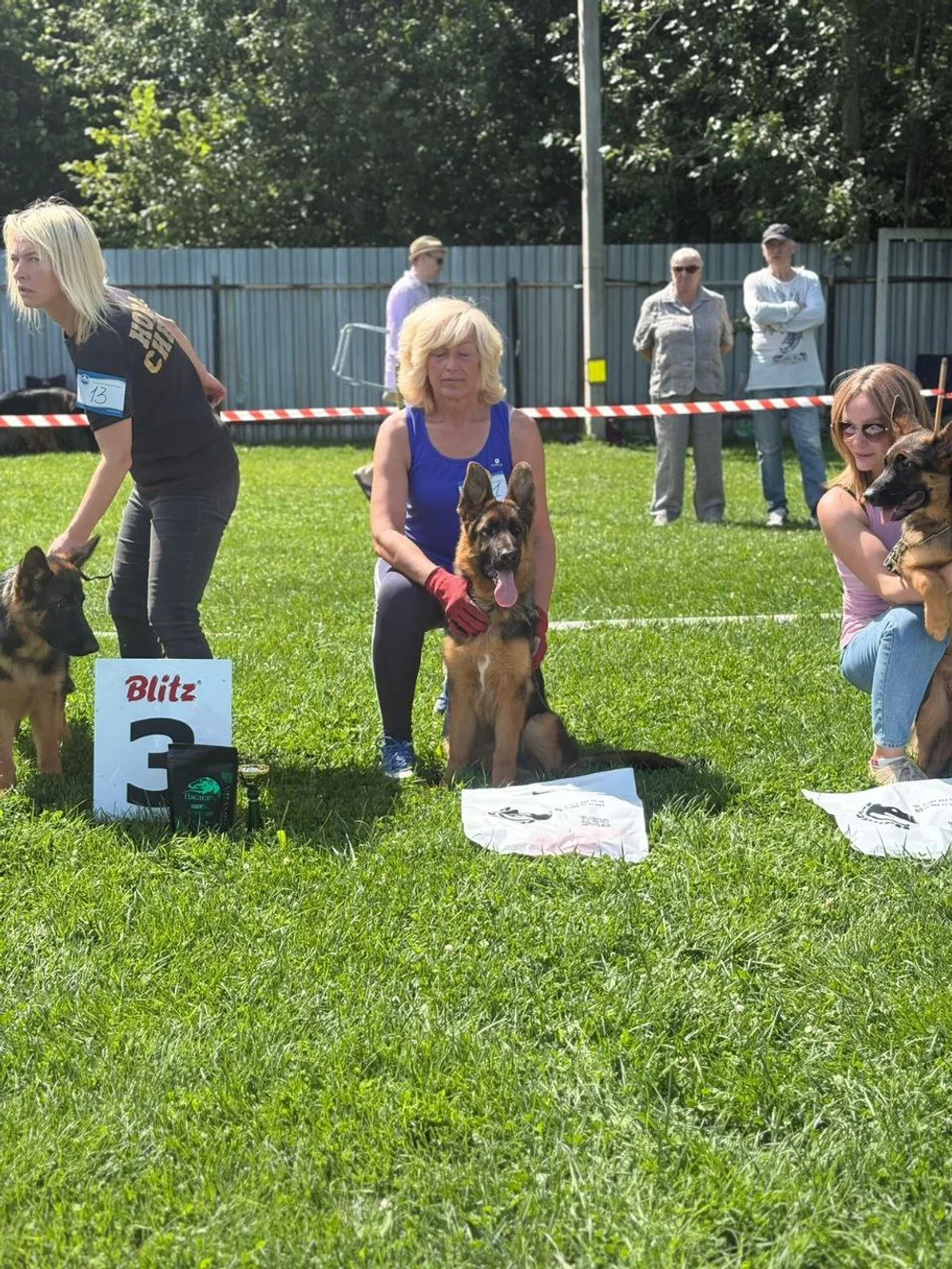 19.07.2025 Ярославская обл. 
"Встреча в Фишбурге" 
судья Близнецова Е.