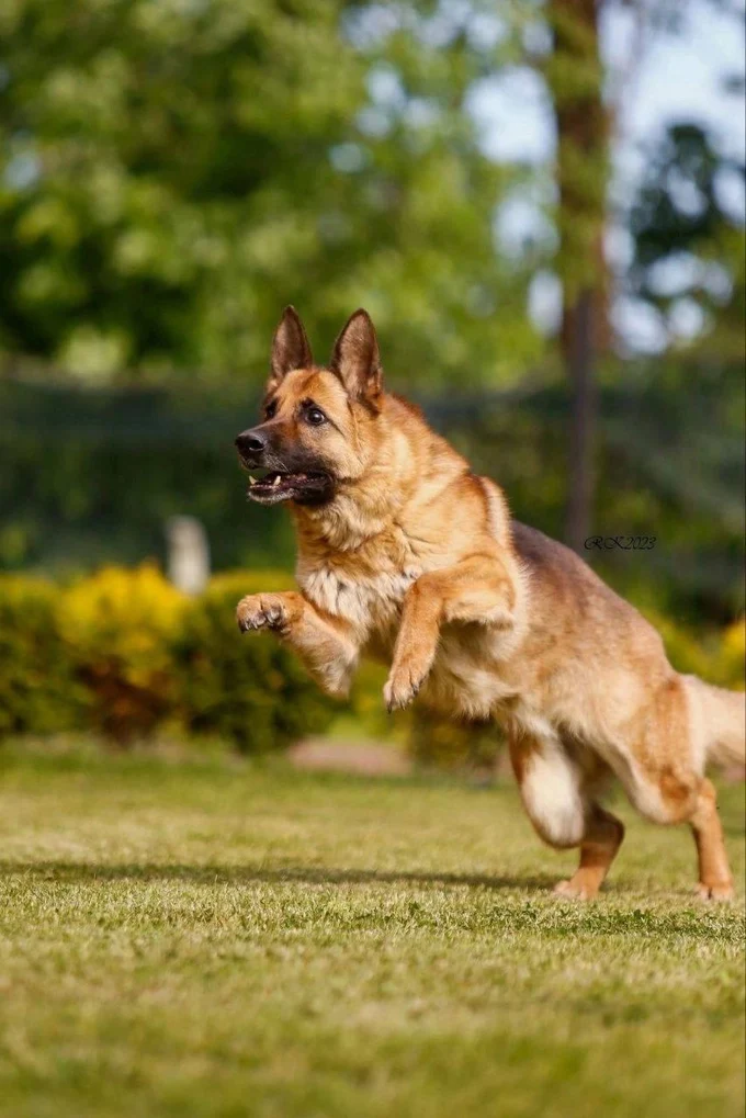 Liisa v. Haus Stoppacher 