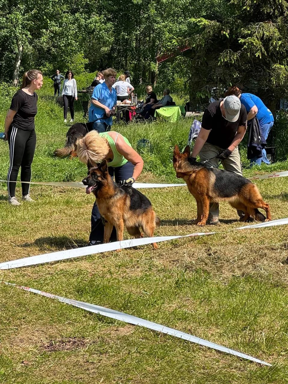 15.06.2025 г. Великий Новгород 
"Кубок Новгородского Кремля" 
судья Федоров В. 