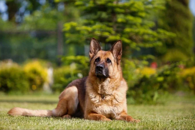 Liisa v. Haus Stoppacher 