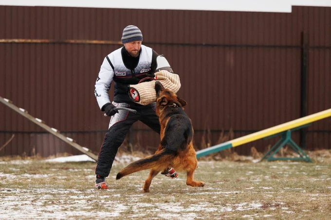 Ирендорф Жофрей