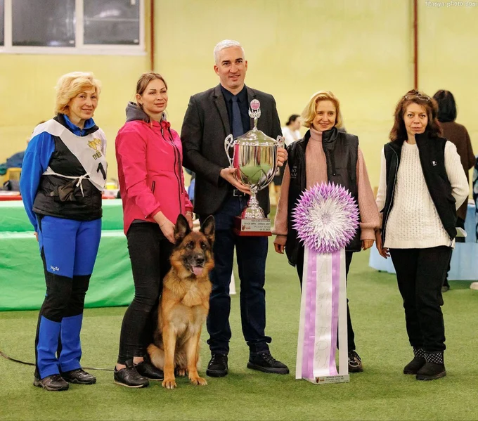 Зависть Богов Явонне