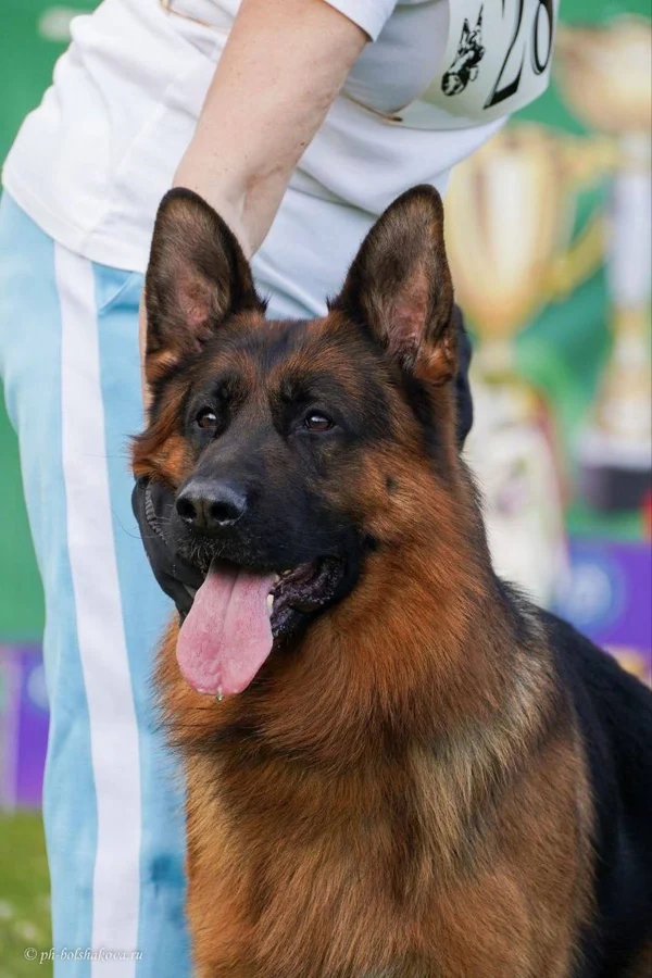 Ирендорф  Зурбаган 