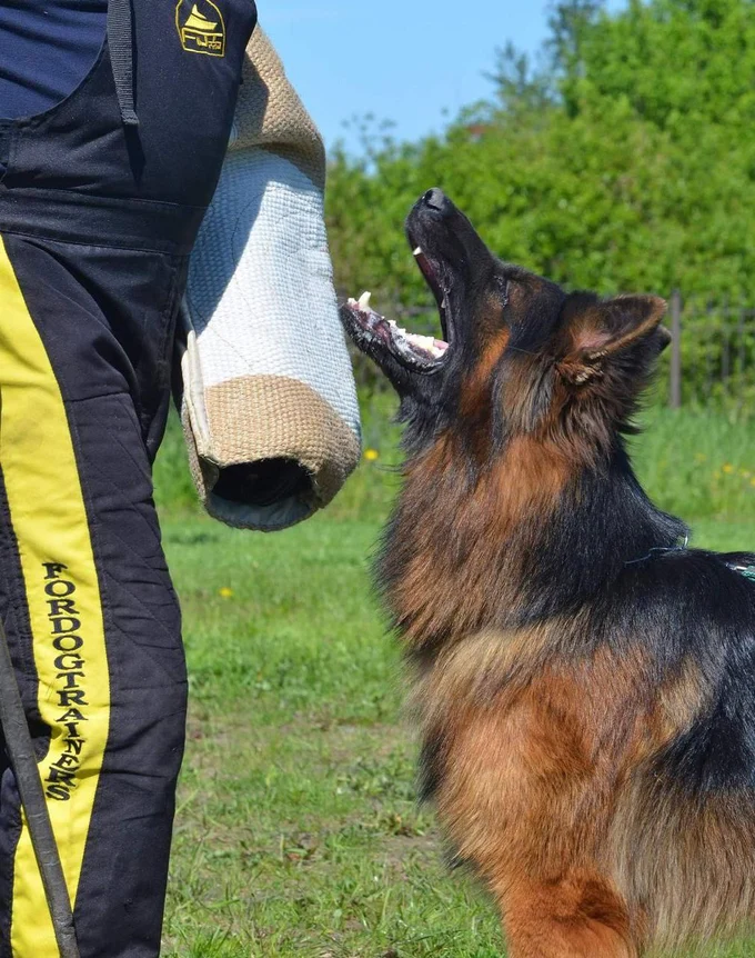 Ирендорф Валькирия