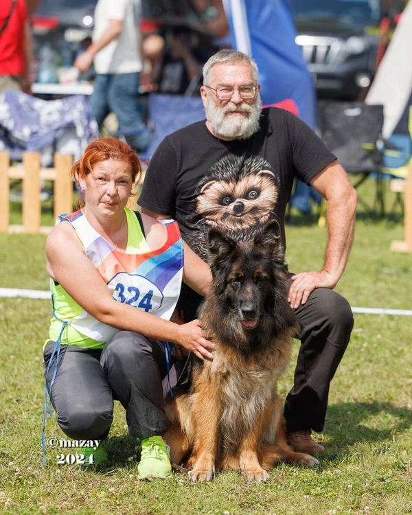 Зависть Богов Рейма