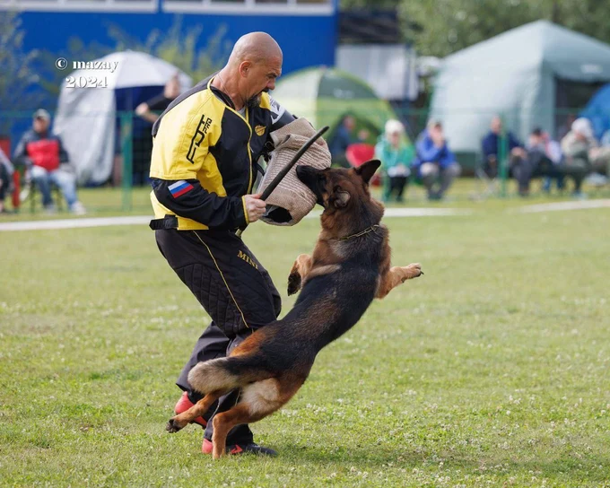 Ирендорф Замбия 