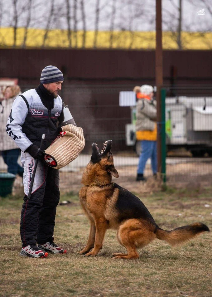 Ирендорф Жофрей