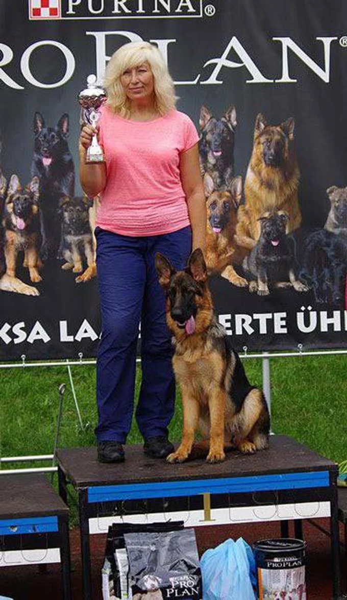 Зависть Богов Явонне