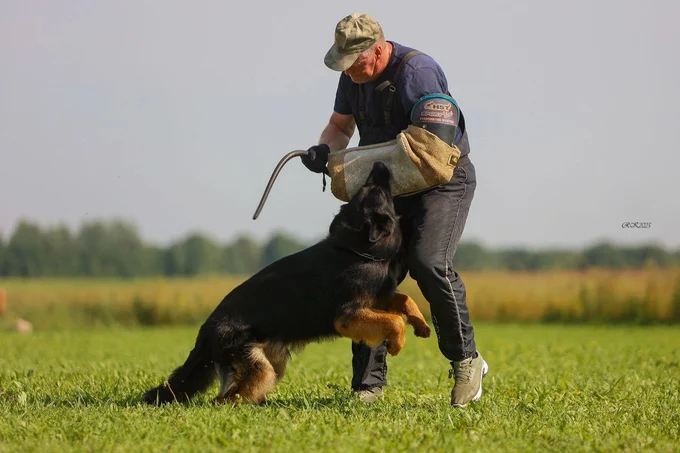 Ирендорф Фрэд