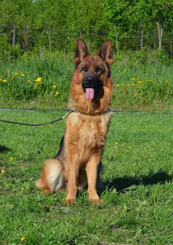 Зависть Богов Фиджи II