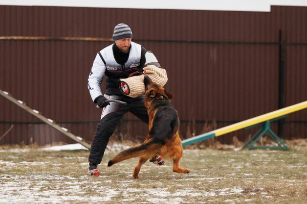 Ирендорф Жофрей